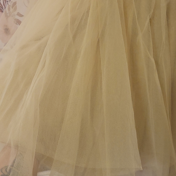 NWT Gold Sequin Tulle Dress - Picture 2 of 7